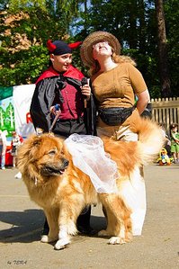 click for enlarge 333 X 500 55.2 Kb picture