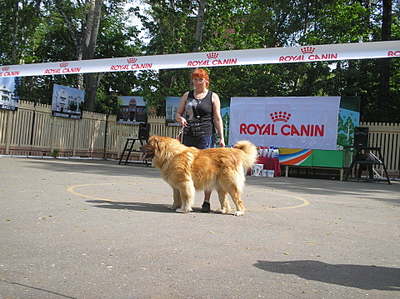 click for enlarge 1920 X 1436 376.1 Kb picture