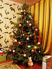 click for enlarge 1512 X 2016 631.4 Kb picture