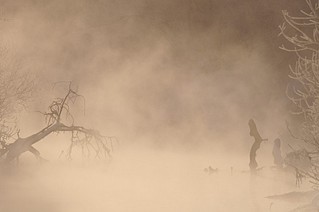 click for enlarge 900 X 598 51.1 Kb picture