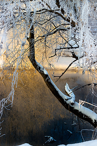 click for enlarge 641 X 962 863.0 Kb picture