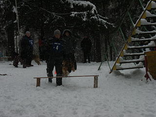 click for enlarge 1920 X 1440 281.1 Kb picture