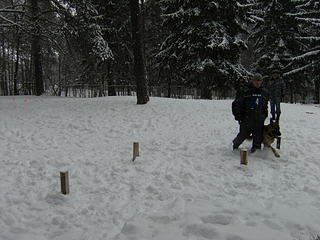 click for enlarge 1920 X 1440 359.4 Kb picture