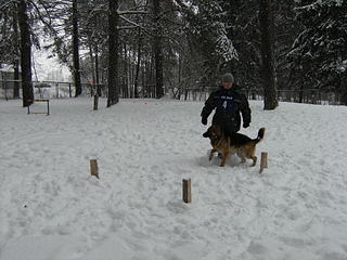 click for enlarge 1920 X 1440 406.9 Kb picture