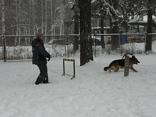 click for enlarge 1920 X 1440 358.5 Kb picture