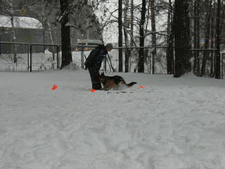 click for enlarge 1920 X 1440 245.6 Kb picture