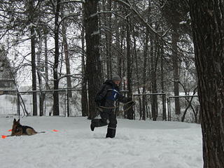 click for enlarge 1920 X 1440 512.4 Kb picture