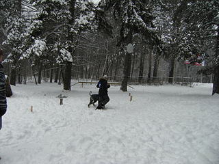 click for enlarge 1920 X 1440 413.3 Kb picture