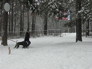 click for enlarge 1920 X 1440 405.0 Kb picture