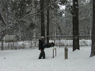 click for enlarge 1920 X 1440 479.1 Kb picture