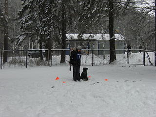 click for enlarge 1920 X 1440 387.9 Kb picture