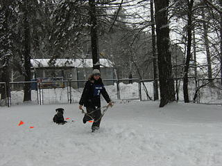 click for enlarge 1920 X 1440 375.8 Kb picture