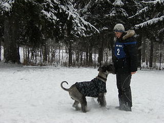 click for enlarge 1920 X 1440 376.4 Kb picture