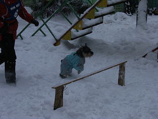 click for enlarge 1920 X 1440 204.9 Kb picture