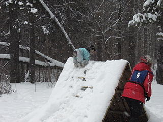 click for enlarge 1920 X 1440 356.8 Kb picture