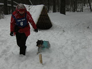 click for enlarge 1920 X 1440 216.3 Kb picture