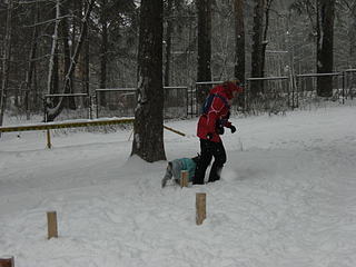 click for enlarge 1920 X 1440 341.0 Kb picture