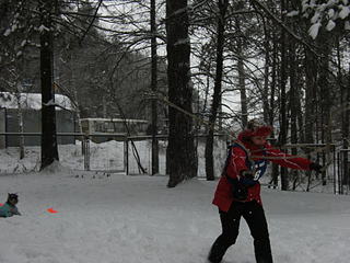 click for enlarge 1920 X 1440 329.1 Kb picture