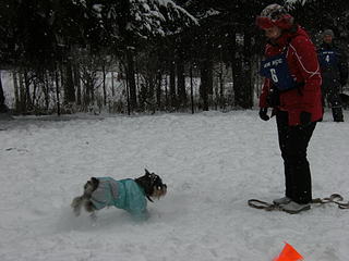 click for enlarge 1920 X 1440 269.9 Kb picture