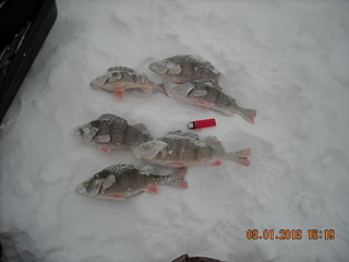 click for enlarge 1920 X 1440 691.4 Kb picture