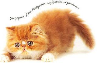 click for enlarge 460 X 300 17.0 Kb picture