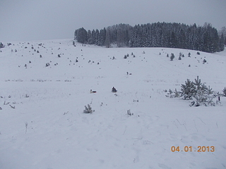 click for enlarge 1920 X 1440 115.8 Kb picture