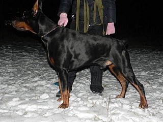 click for enlarge 640 X 480  97.9 Kb picture