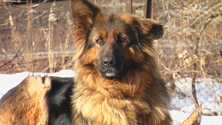 click for enlarge 1920 X 1080 906.1 Kb picture