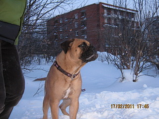 click for enlarge 1600 X 1200 662.0 Kb picture