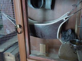 click for enlarge 448 X 336 25.0 Kb picture