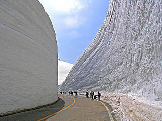 click for enlarge 800 X 600 91.4 Kb picture