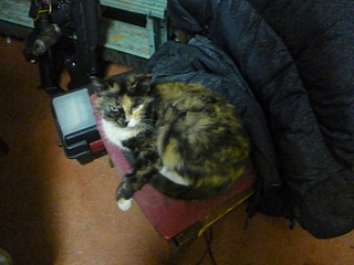 click for enlarge 1920 X 1440 126.2 Kb picture