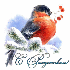 click for enlarge 500 X 500 954.6 Kb picture