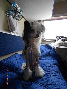 click for enlarge 450 X 600 89.0 Kb picture