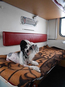 click for enlarge 450 X 600 86.8 Kb picture