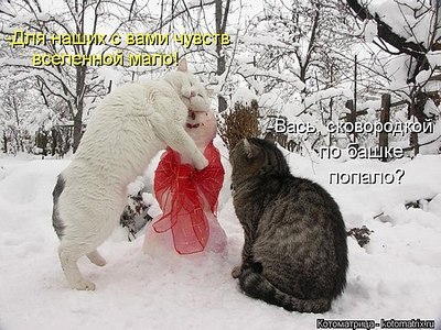click for enlarge 604 X 453 85.3 Kb picture