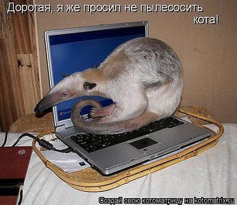 click for enlarge 550 X 475 58.3 Kb picture