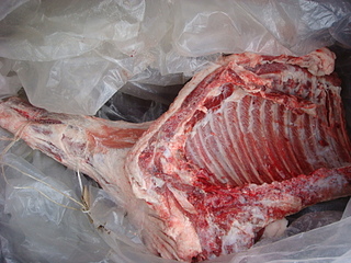 click for enlarge 1920 X 1440 969.4 Kb picture