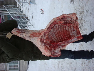 click for enlarge 1920 X 1440 1009.4 Kb picture