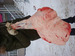 click for enlarge 1920 X 1440 194.3 Kb picture