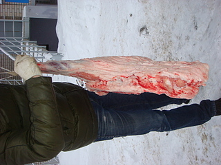 click for enlarge 1920 X 1440 180.7 Kb picture