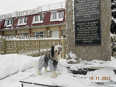 click for enlarge 800 X 600 170.0 Kb picture