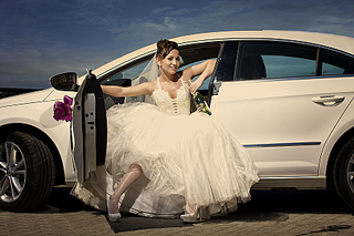 click for enlarge 900 X 600 411.5 Kb picture