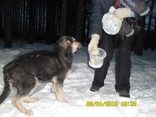 click for enlarge 604 X 453 50.2 Kb picture