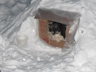 click for enlarge 604 X 453 43.0 Kb picture