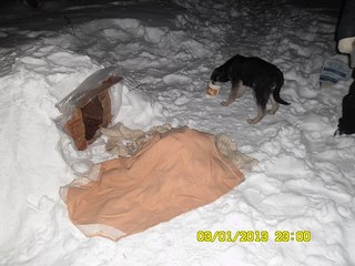 click for enlarge 604 X 453 49.1 Kb picture