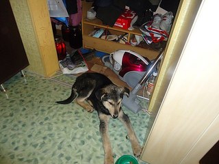 click for enlarge 604 X 453 55.6 Kb picture