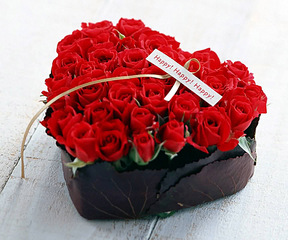 click for enlarge 960 X 800 163.7 Kb picture