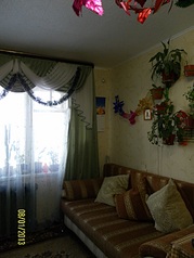 click for enlarge 1229 X 1639 455.9 Kb picture