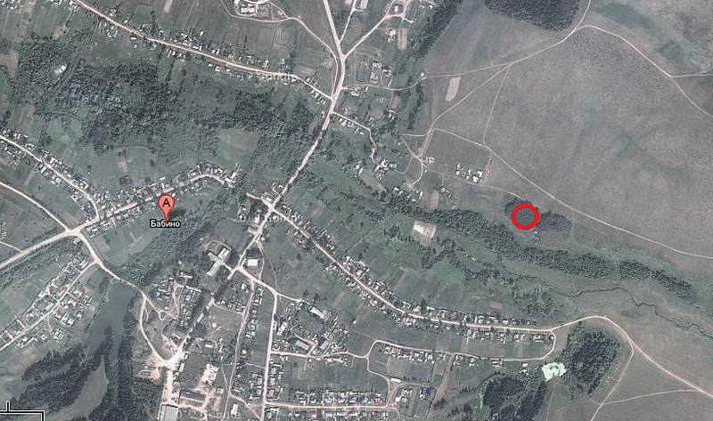 Село бабино. Бабино Удмуртия Завьяловский район. Черновицкая область село Бабино. Бабино на карте.